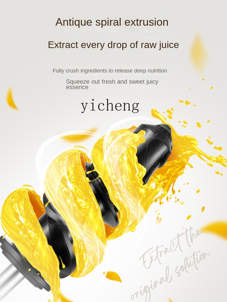 Juicer - Extracteur de jus à basse vitesse