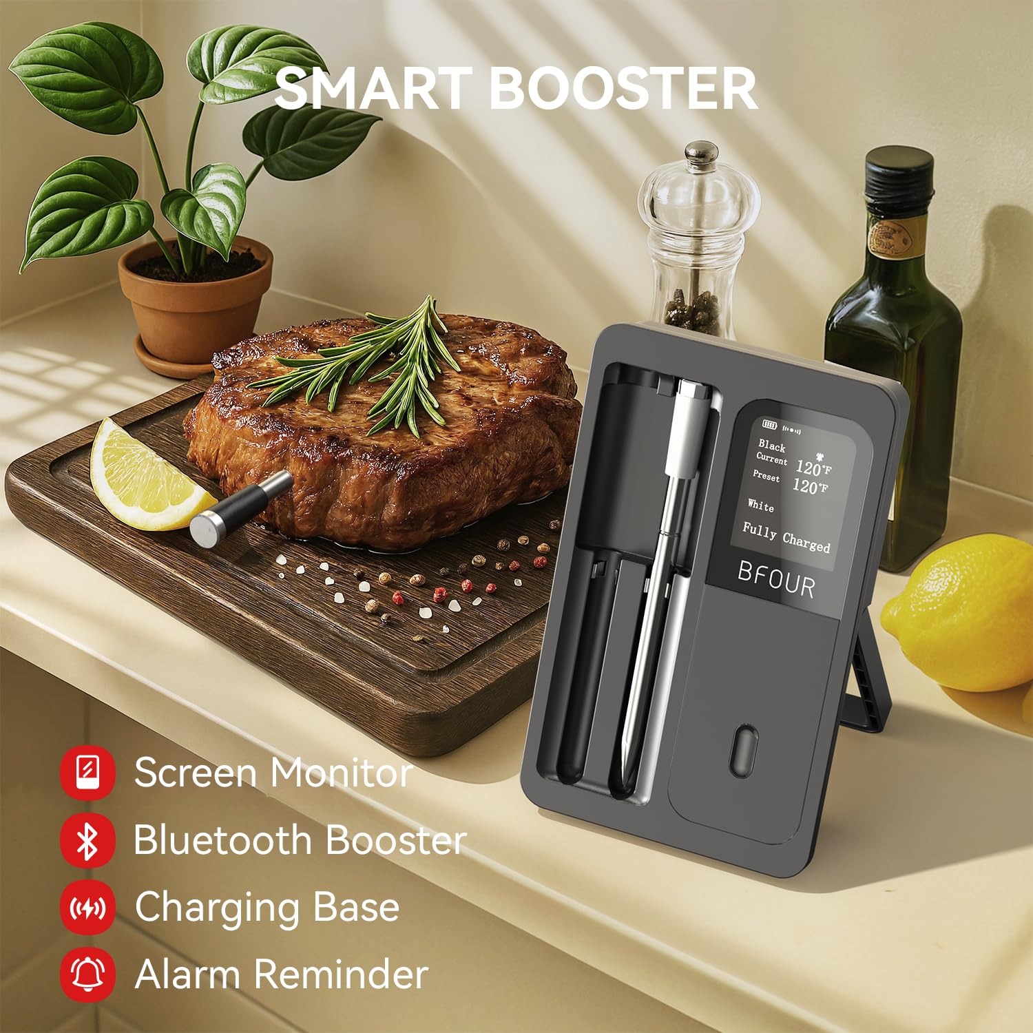 Kitchen Appliances Video - Thermomètre à viande sans fil, sondes
