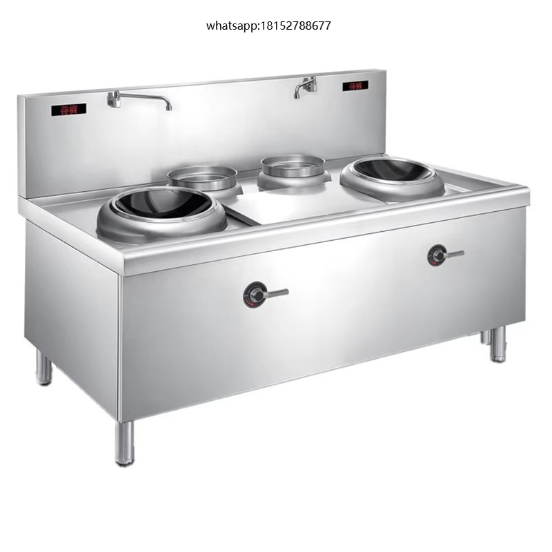 Induction Cooker - Cuisinière à induction électrique à double