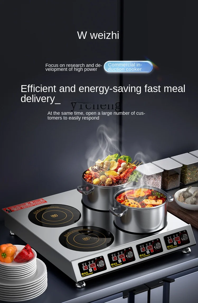 Induction Cooker - Cuisinière à induction commerciale multi-têtes 3500W