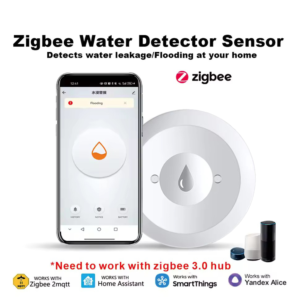 Détecteur de fuite d'eau Zigbe - Kitchen Appliances Video avis et prix