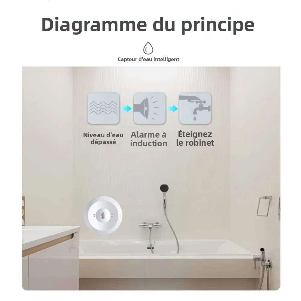 Détecteur de fuite d'eau Zigbe - Kitchen Appliances Video avis et prix